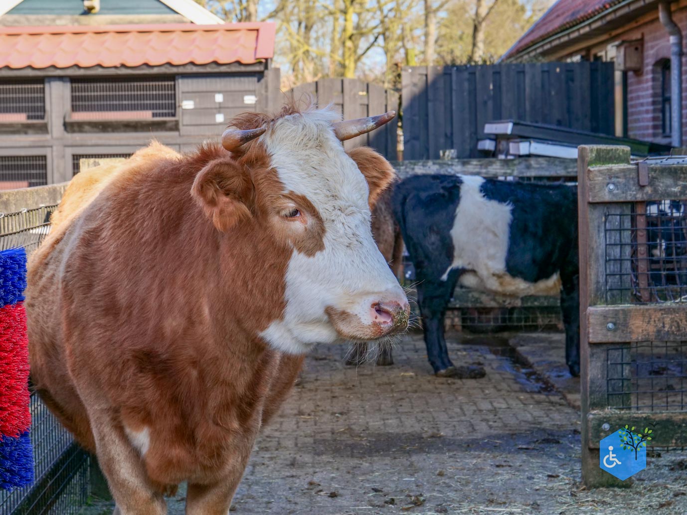 Amersfoort_Stadsboerderij_De_Vosheuvel_14-02-2026-08