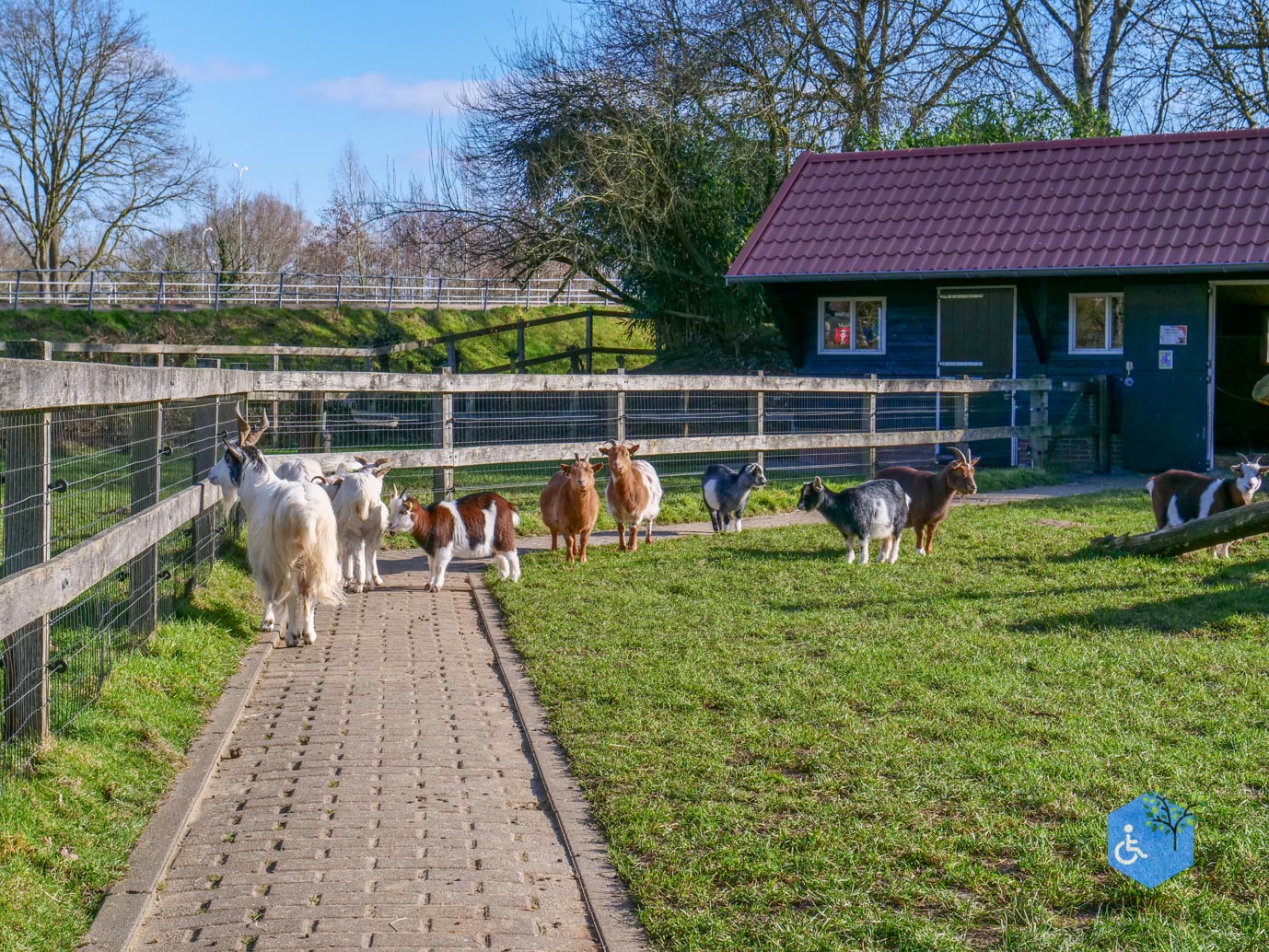 Amersfoort_Stadsboerderij_De_Vosheuvel_14-02-2026-11