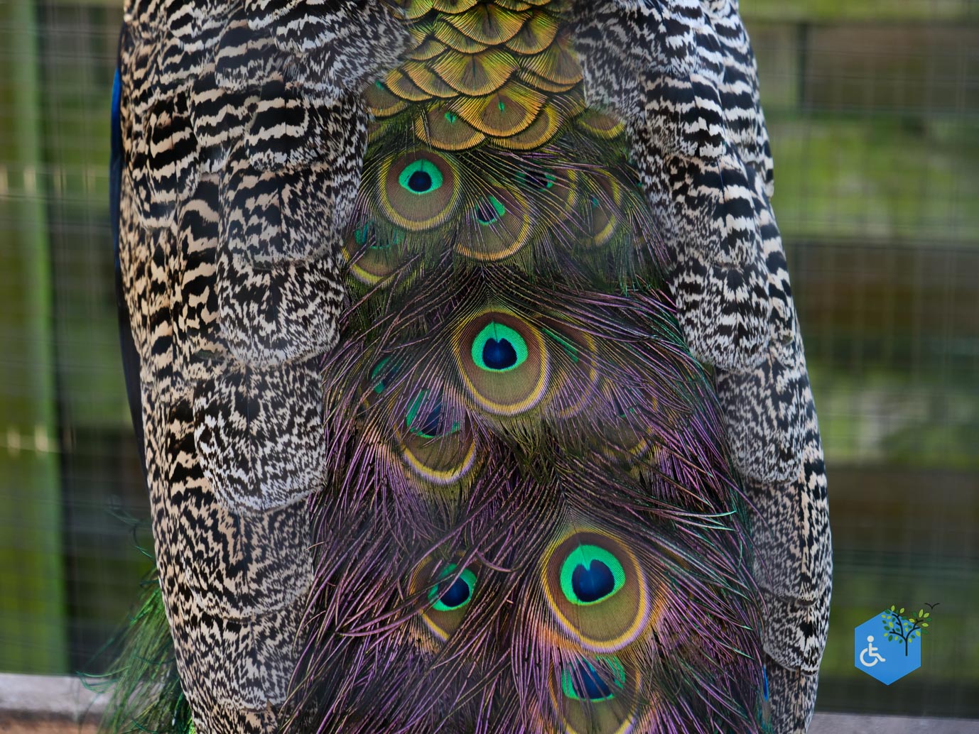 Amersfoort_Stadsboerderij_De_Vosheuvel_14-02-2026-22