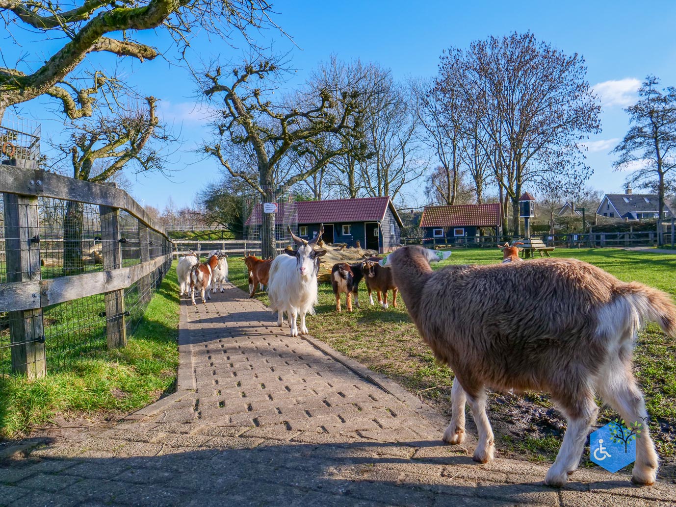 Amersfoort_Stadsboerderij_De_Vosheuvel_14-02-2026-24