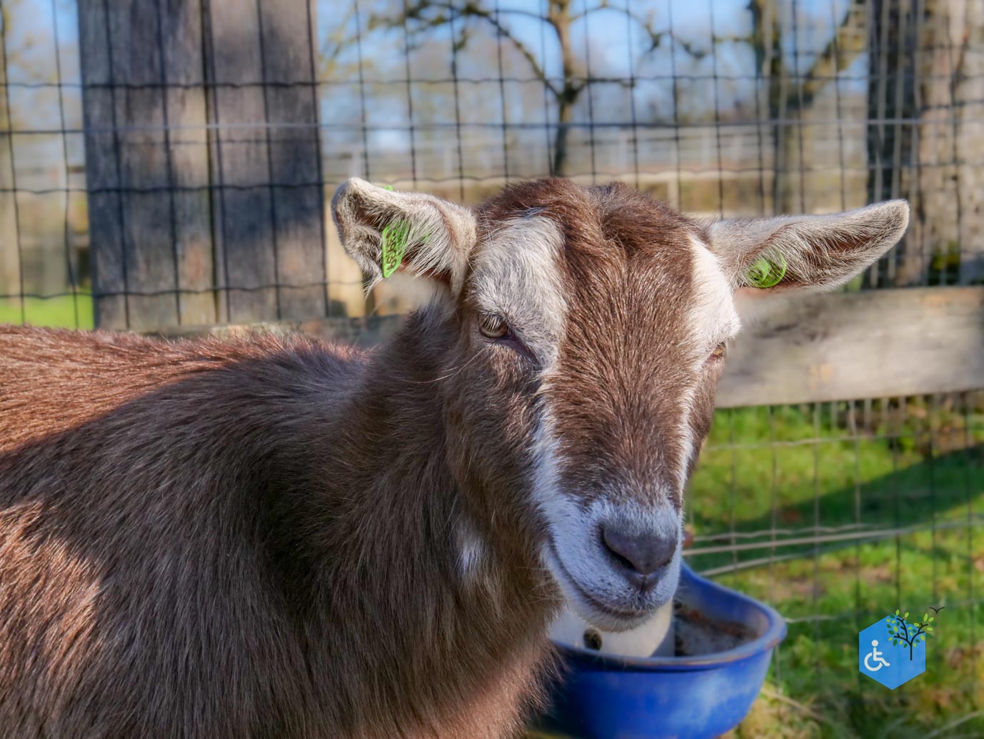 Amersfoort_Stadsboerderij_De_Vosheuvel_14-02-2026-26