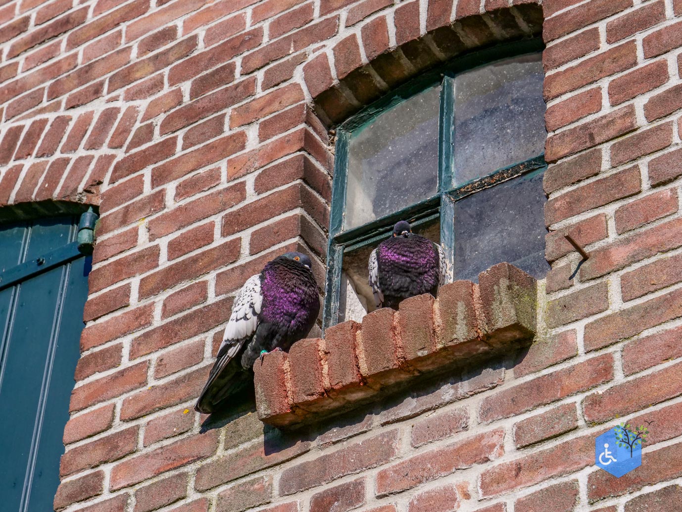 Amersfoort_Stadsboerderij_De_Vosheuvel_14-02-2026-32