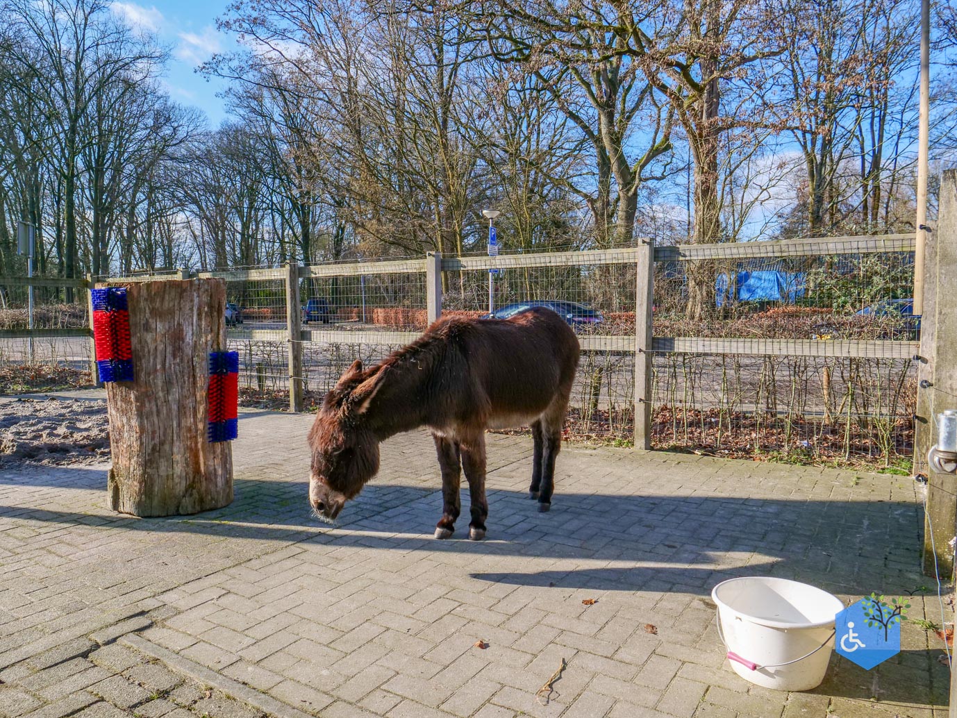 Amersfoort_Stadsboerderij_De_Vosheuvel_14-02-2026-33