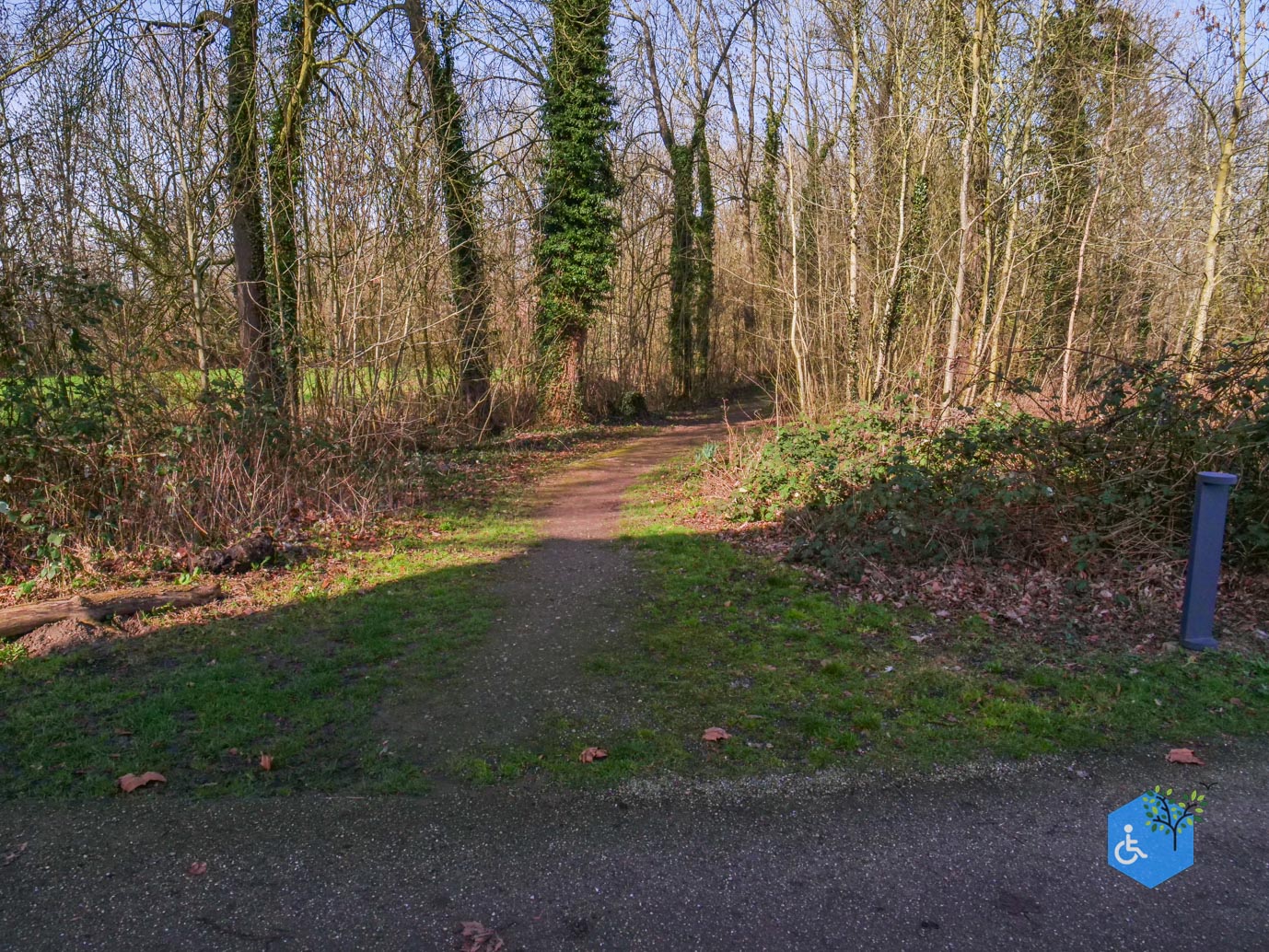 Brakel_Landgoed_Brakel_26-02-2026-31