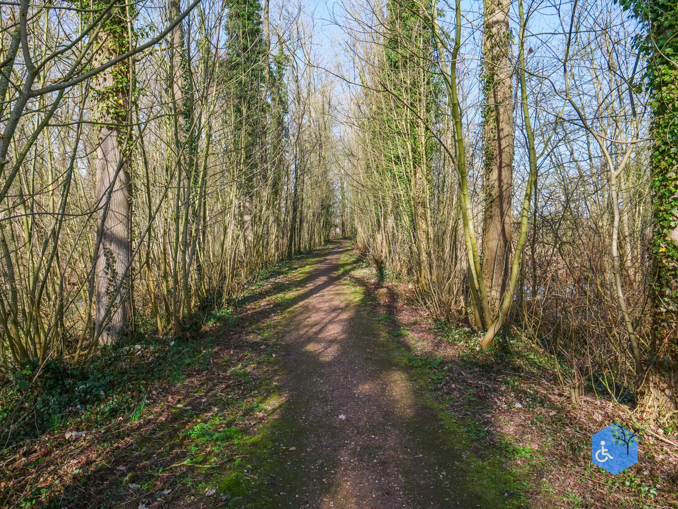 Brakel_Landgoed_Brakel_26-02-2026-32