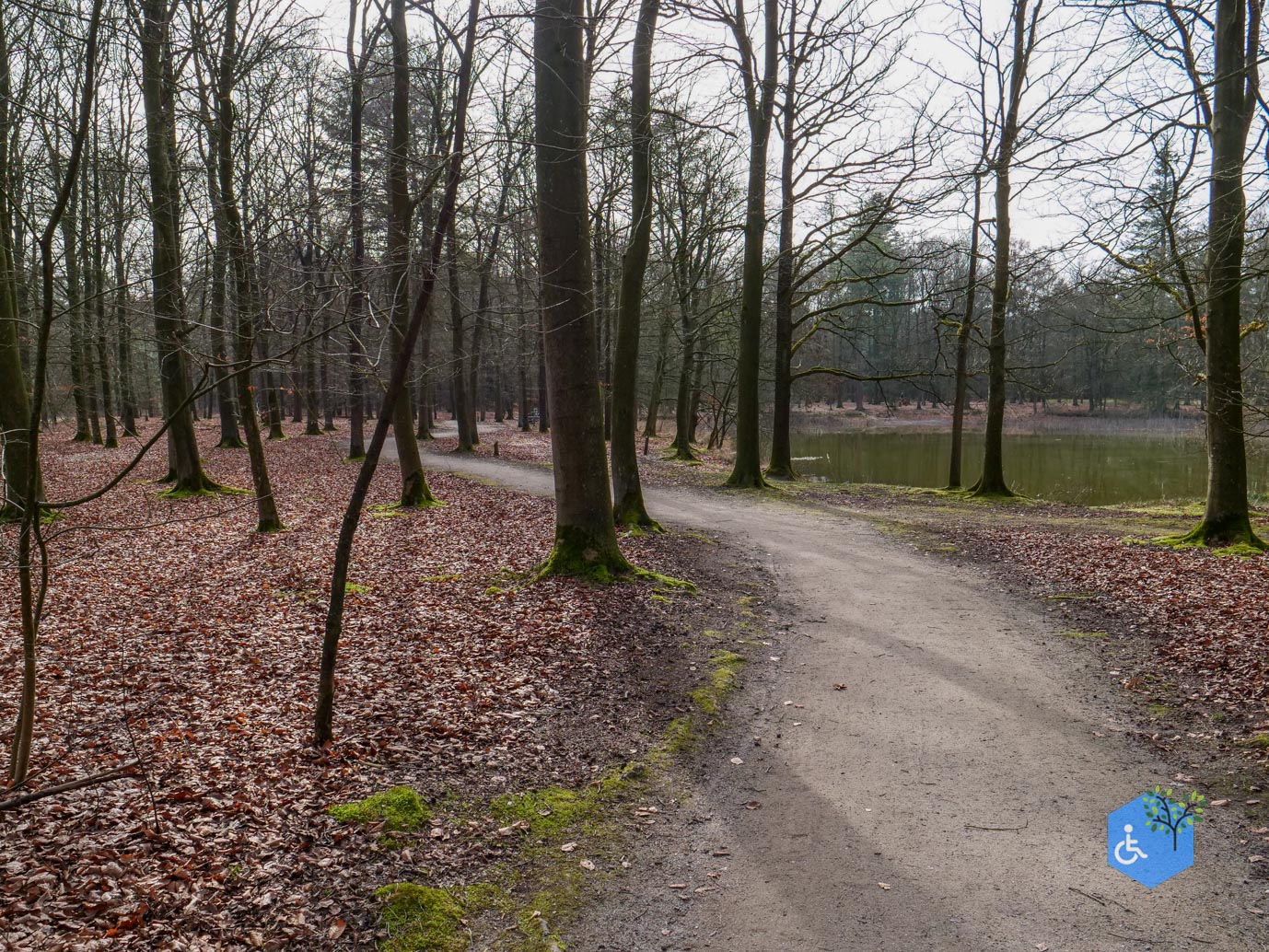 Eersel_Familiepad_Laarvenloopje_06-03-2026-10