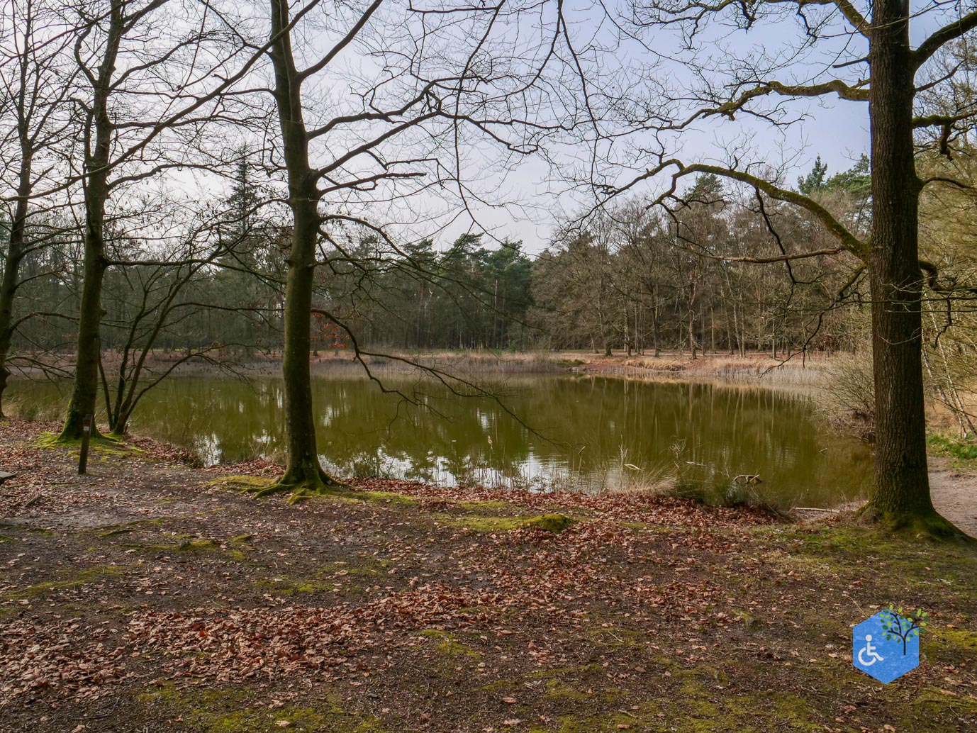 Eersel_Familiepad_Laarvenloopje_06-03-2026-14
