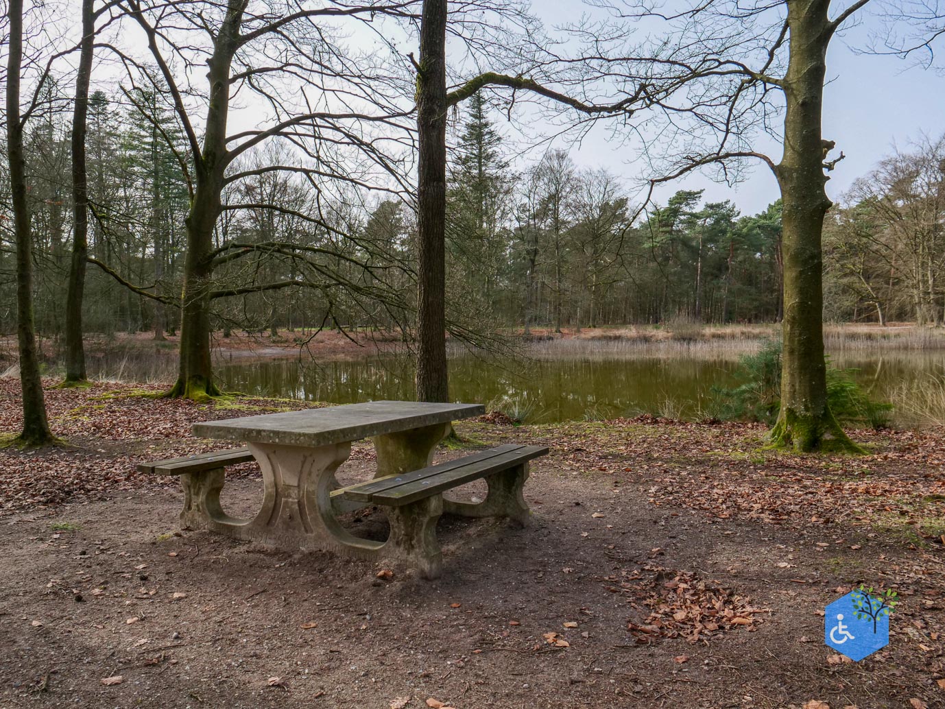 Eersel_Familiepad_Laarvenloopje_06-03-2026-16