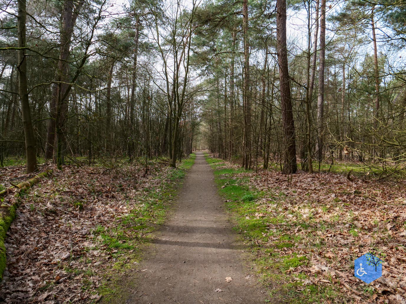 Eersel_Familiepad_Laarvenloopje_06-03-2026-18
