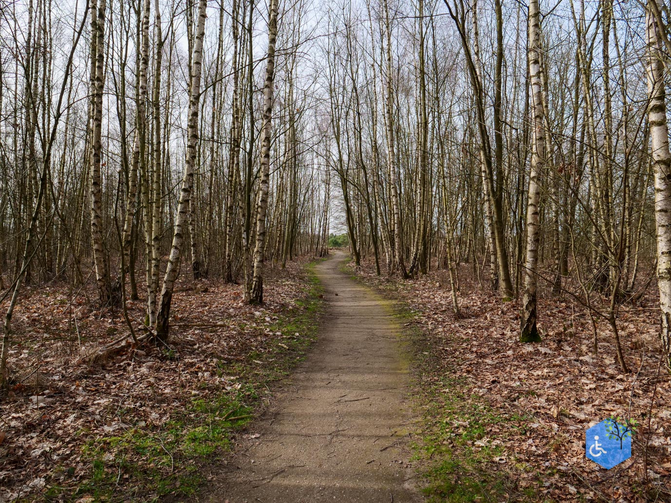 Eersel_Familiepad_Laarvenloopje_06-03-2026-20