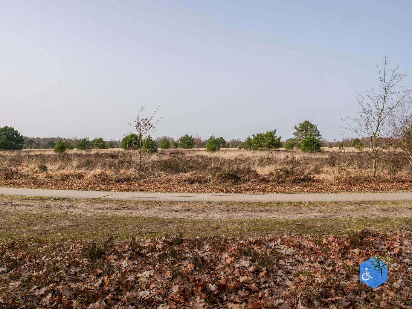 Eersel_Familiepad_Laarvenloopje_06-03-2026-22