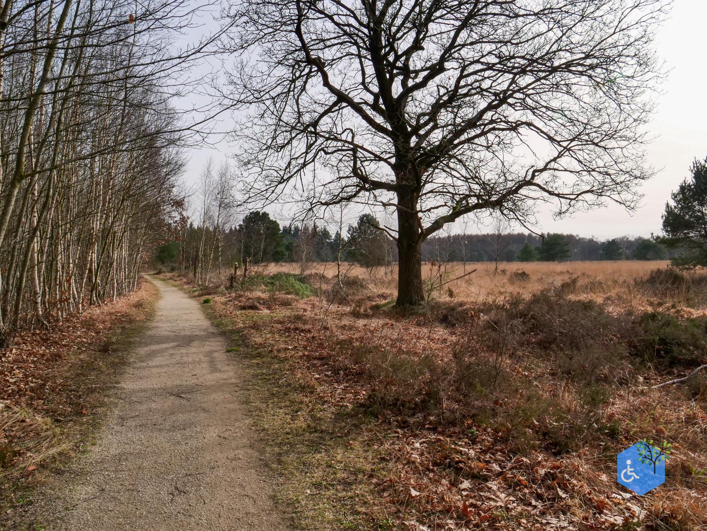 Eersel_Familiepad_Laarvenloopje_06-03-2026-24
