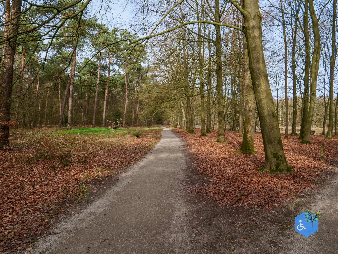 Eersel_Familiepad_Laarvenloopje_06-03-2026-28