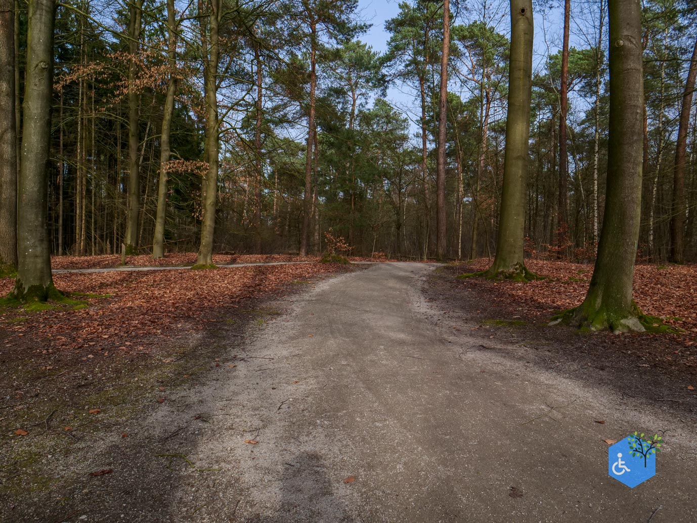 Eersel_Familiepad_Laarvenloopje_06-03-2026-29