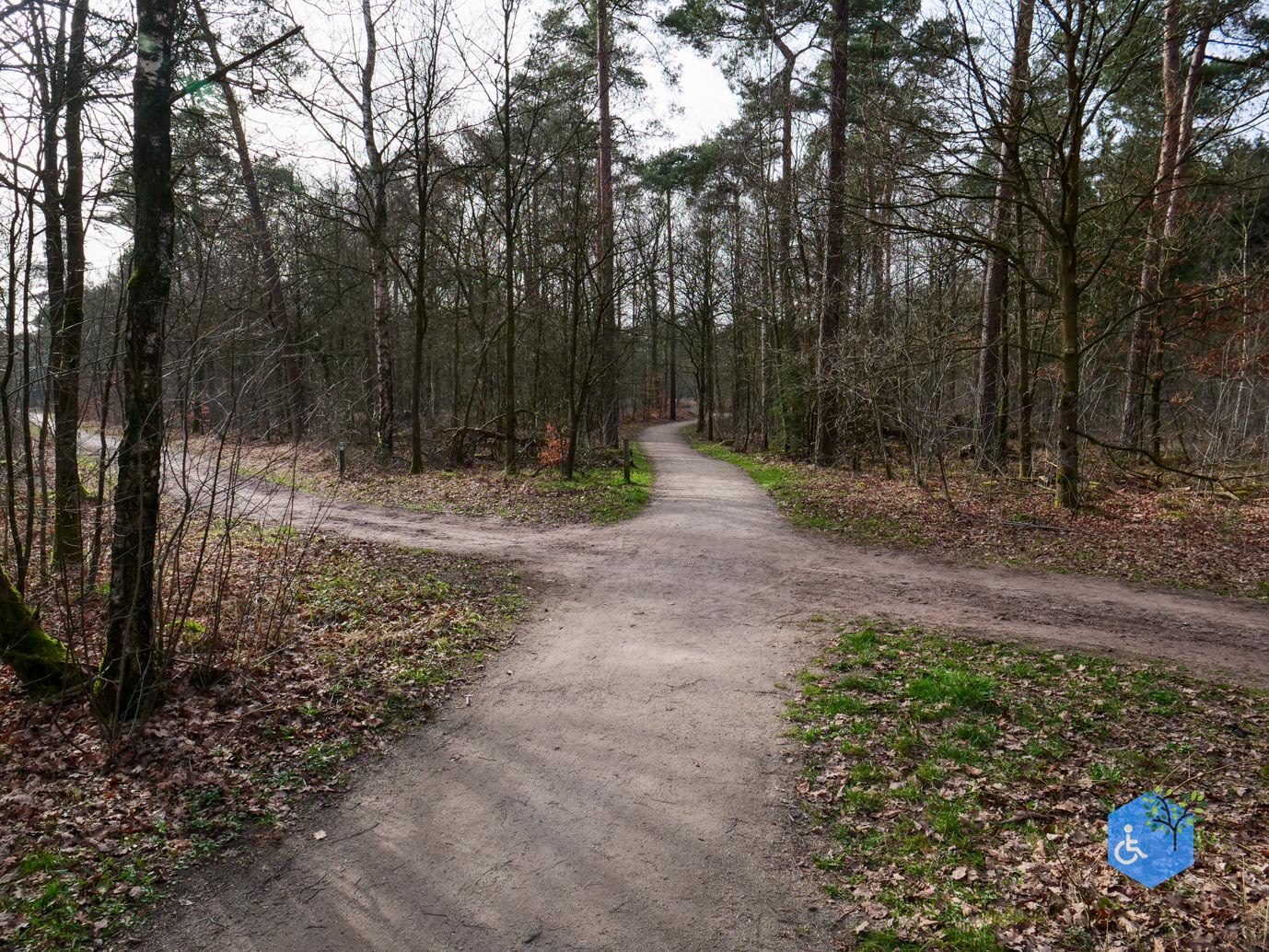 Eersel_Familiepad_Laarvenloopje_06-03-2026-7