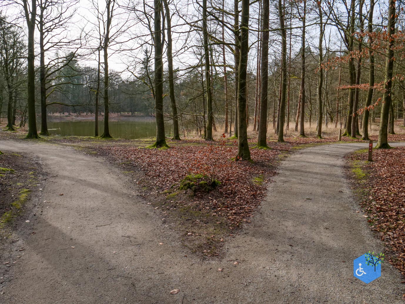 Eersel_Familiepad_Laarvenloopje_06-03-2026-8