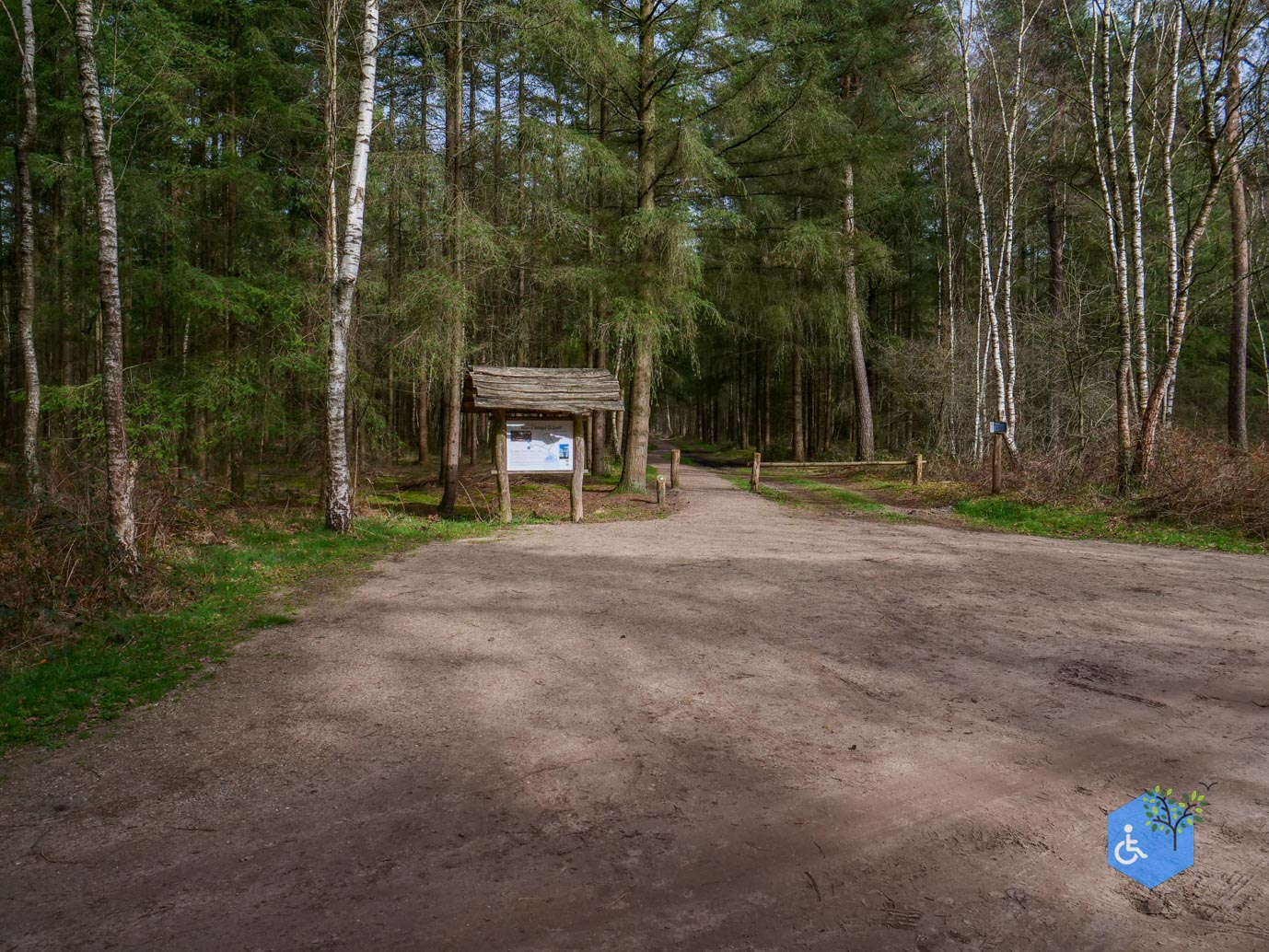 Esbeek_Rolstoelpad_De_Utrecht_06-03-2026-12