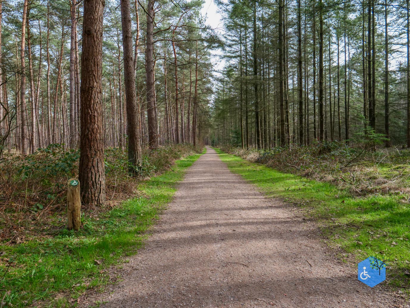 Esbeek_Rolstoelpad_De_Utrecht_06-03-2026-15