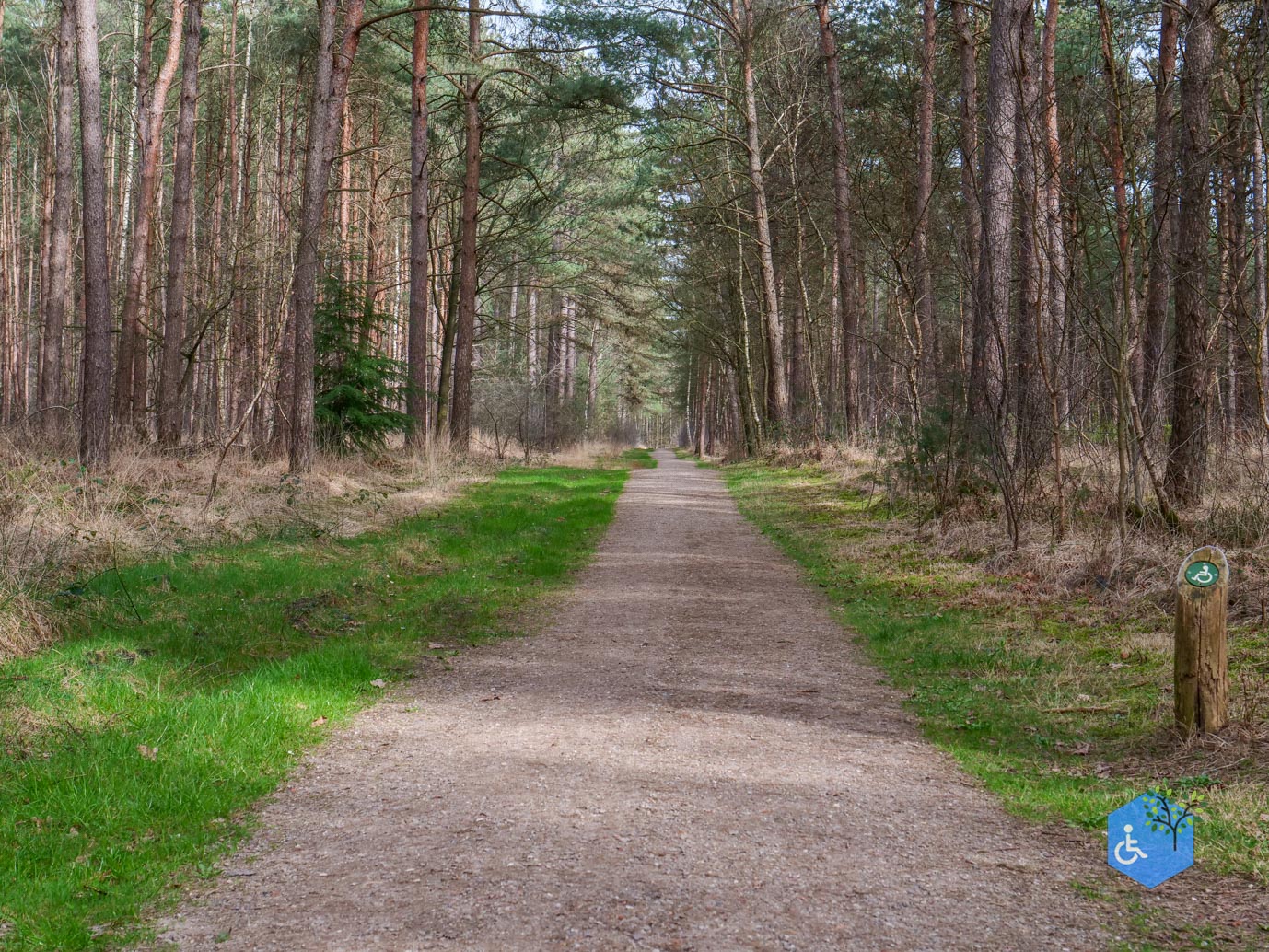 Esbeek_Rolstoelpad_De_Utrecht_06-03-2026-17