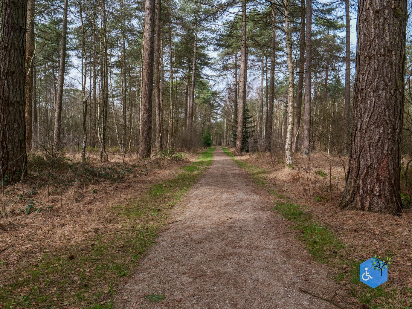 Esbeek_Rolstoelpad_De_Utrecht_06-03-2026-18