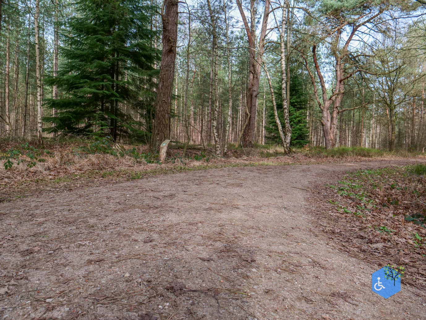 Esbeek_Rolstoelpad_De_Utrecht_06-03-2026-19