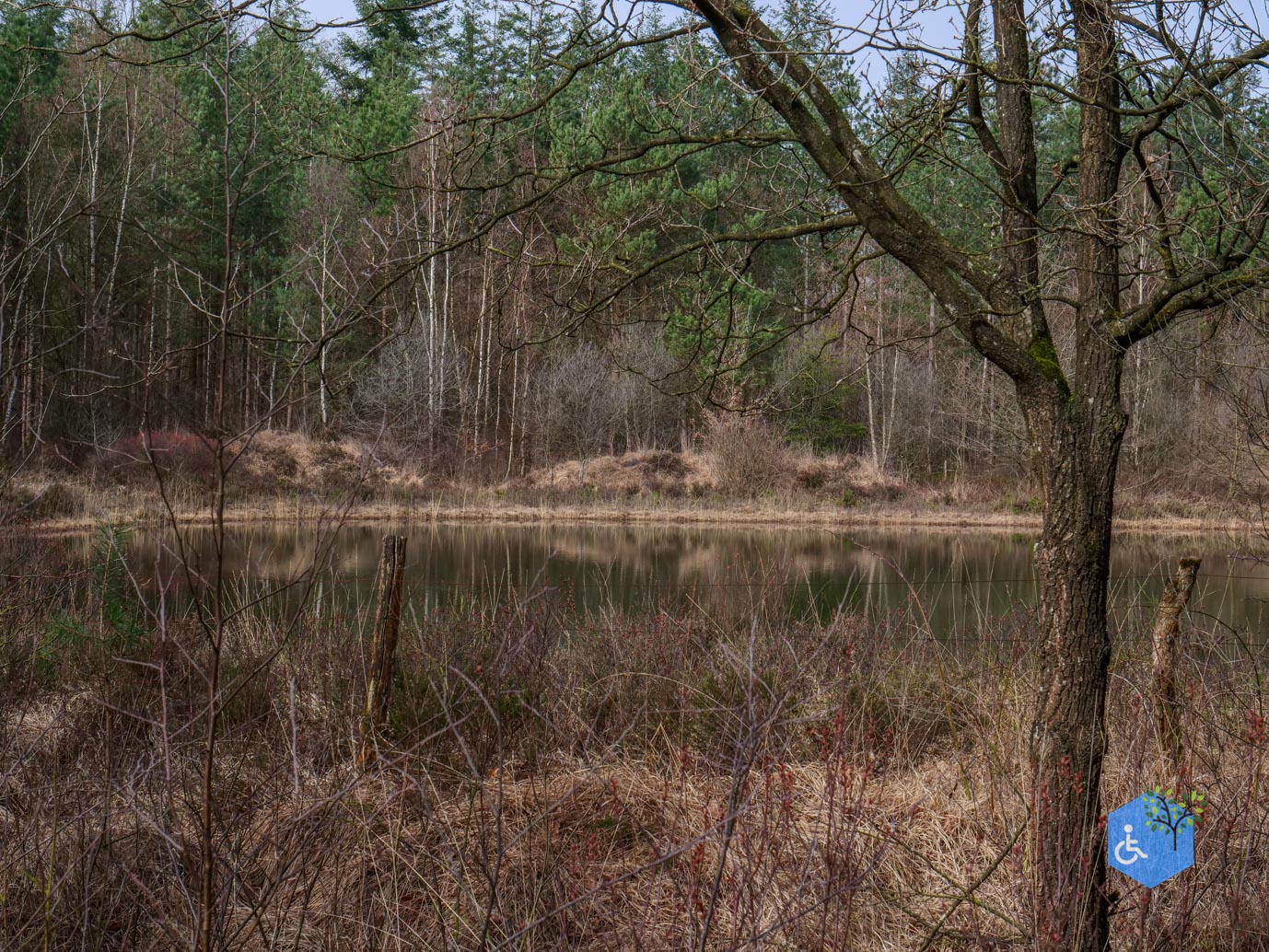 Esbeek_Rolstoelpad_De_Utrecht_06-03-2026-21