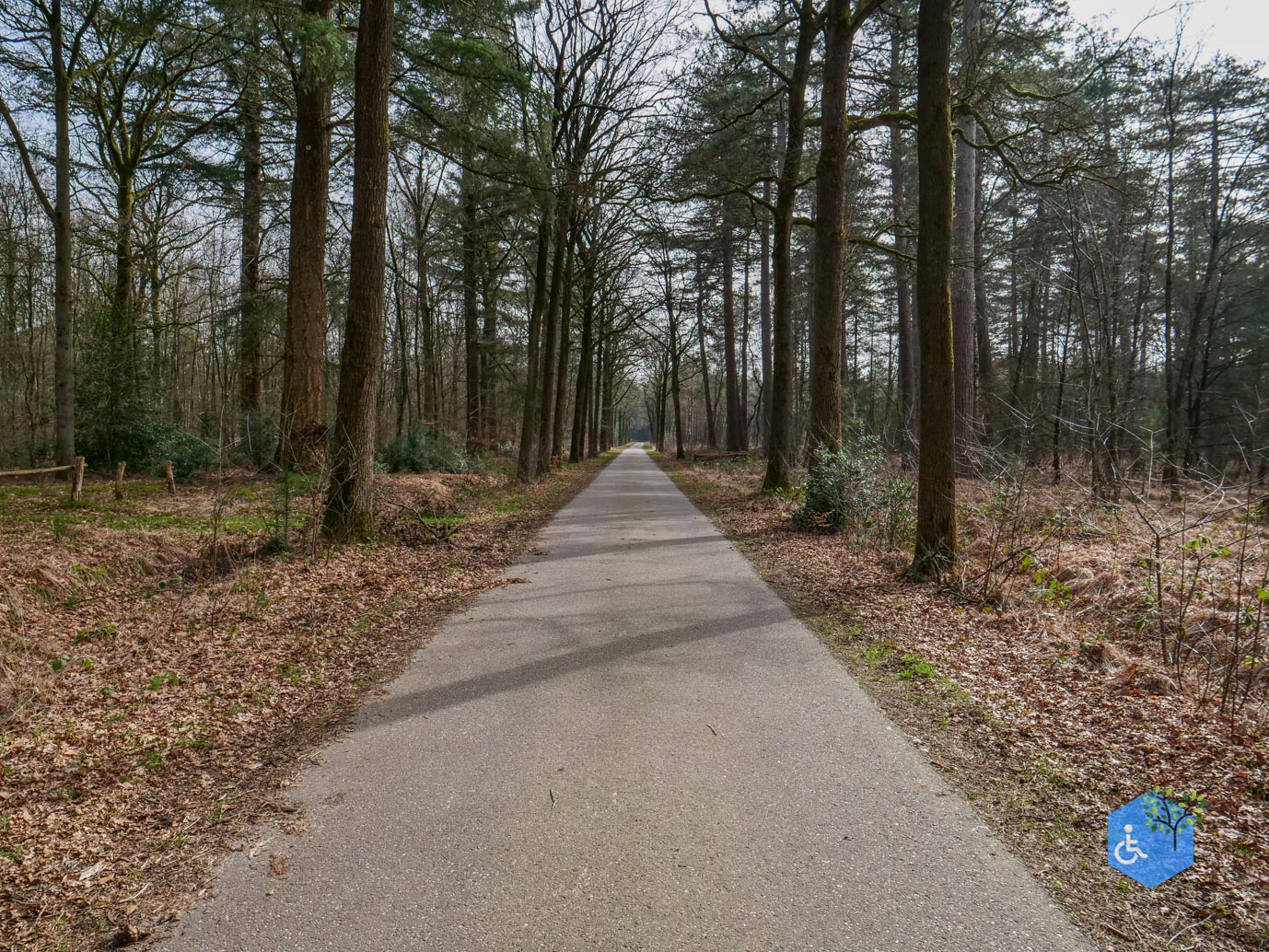 Esbeek_Rolstoelpad_De_Utrecht_06-03-2026-26