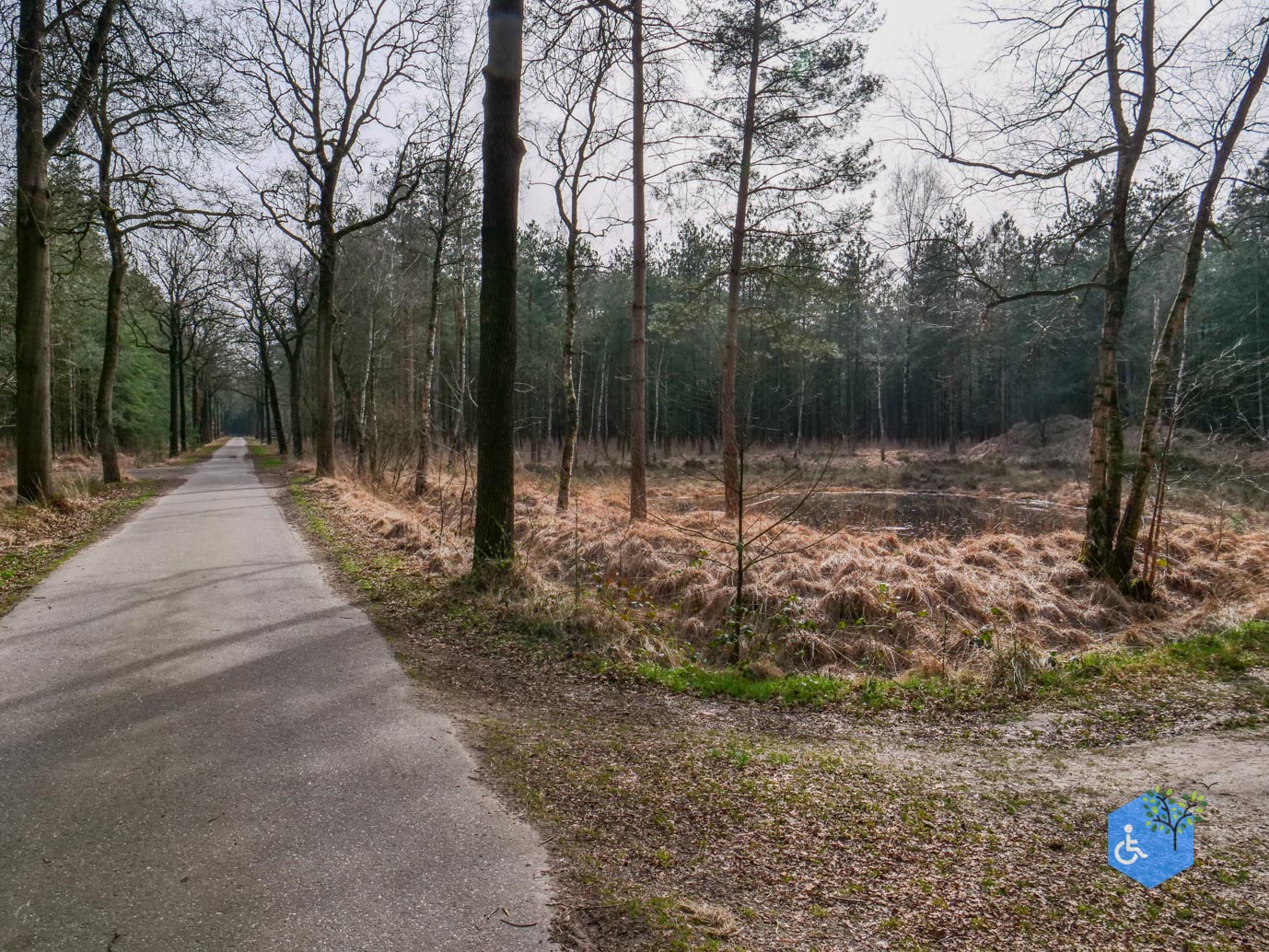 Esbeek_Rolstoelpad_De_Utrecht_06-03-2026-27