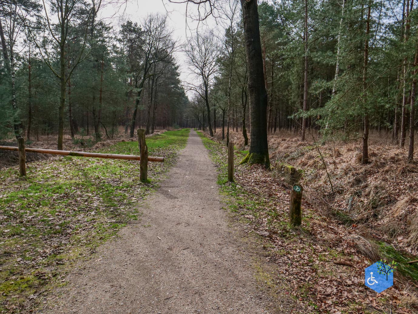 Esbeek_Rolstoelpad_De_Utrecht_06-03-2026-28