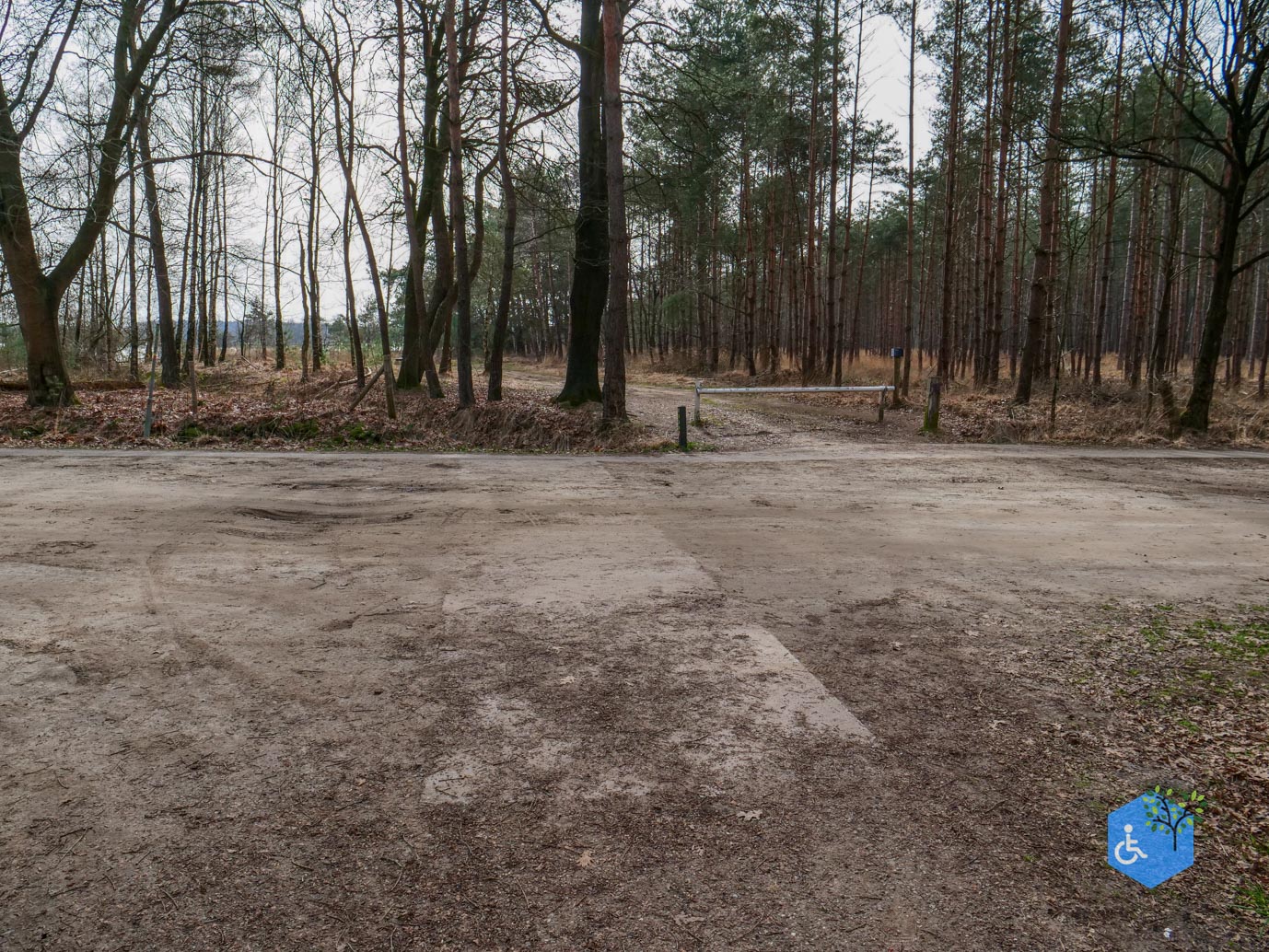 Esbeek_Rolstoelpad_De_Utrecht_06-03-2026-30