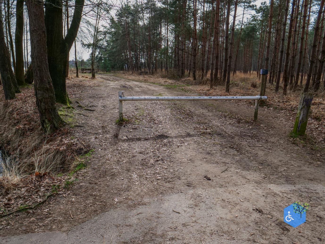 Esbeek_Rolstoelpad_De_Utrecht_06-03-2026-31