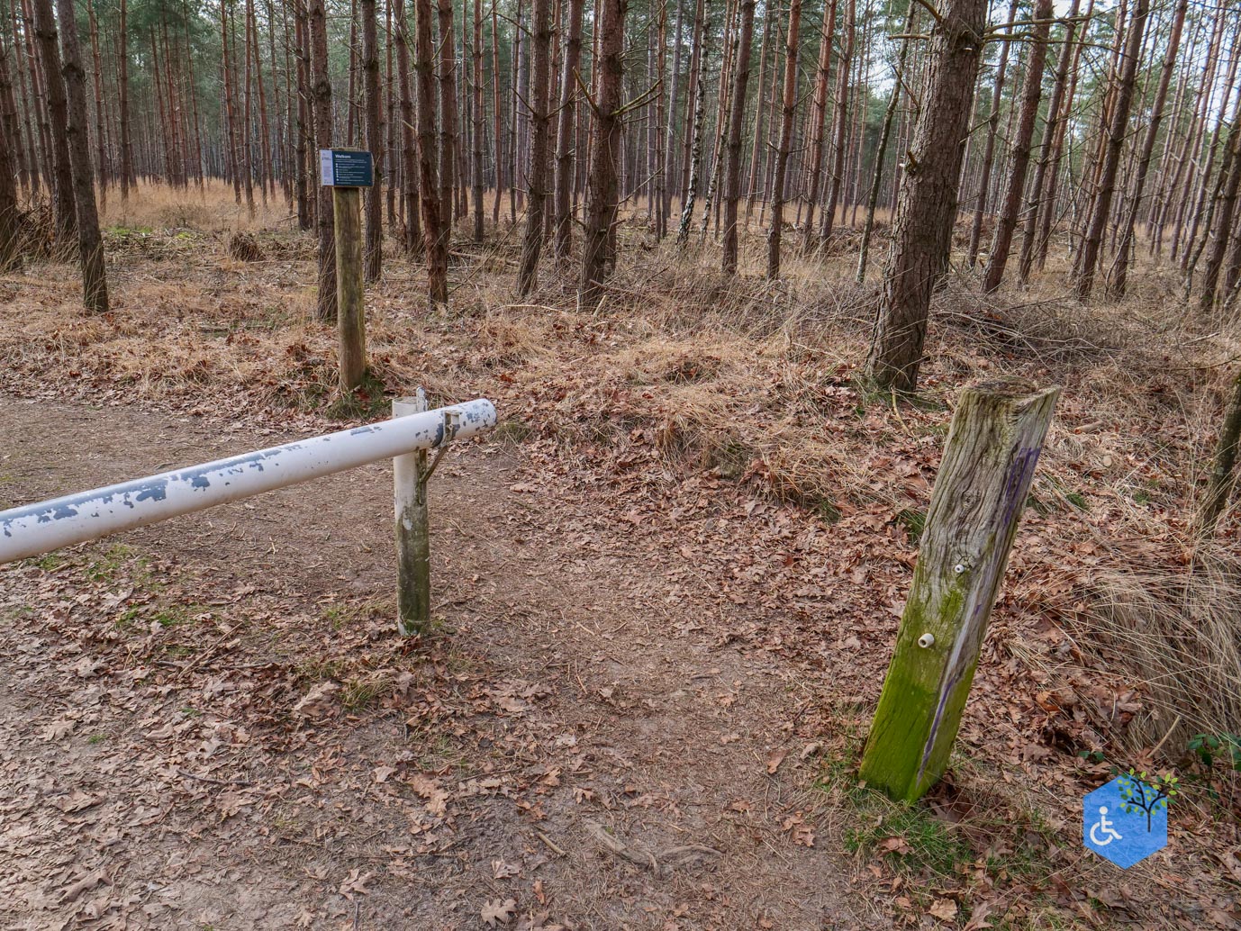 Esbeek_Rolstoelpad_De_Utrecht_06-03-2026-32