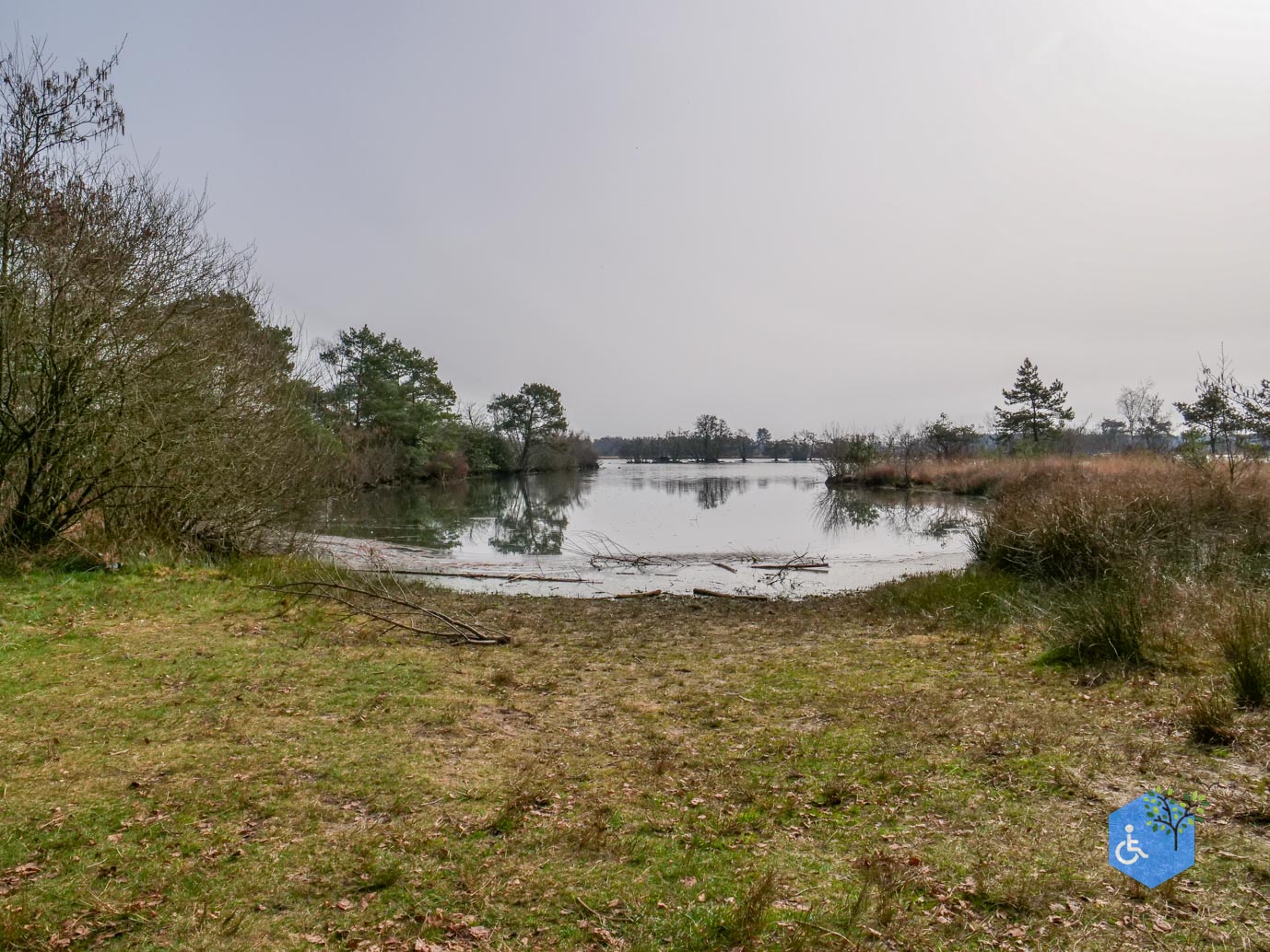 Esbeek_Rolstoelpad_De_Utrecht_06-03-2026-34