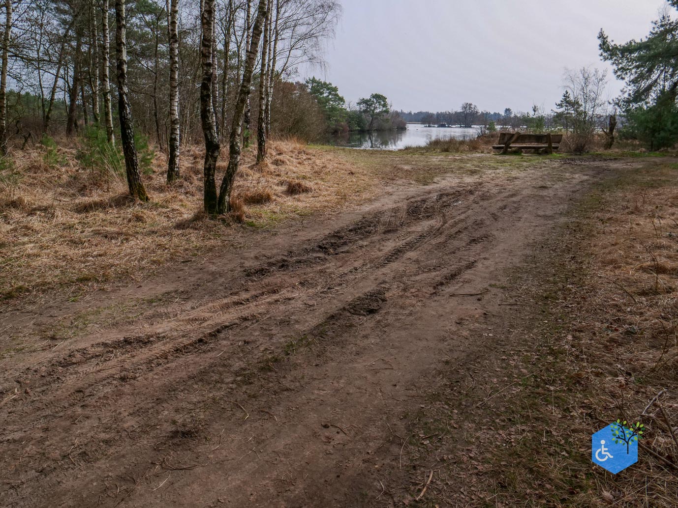 Esbeek_Rolstoelpad_De_Utrecht_06-03-2026-36