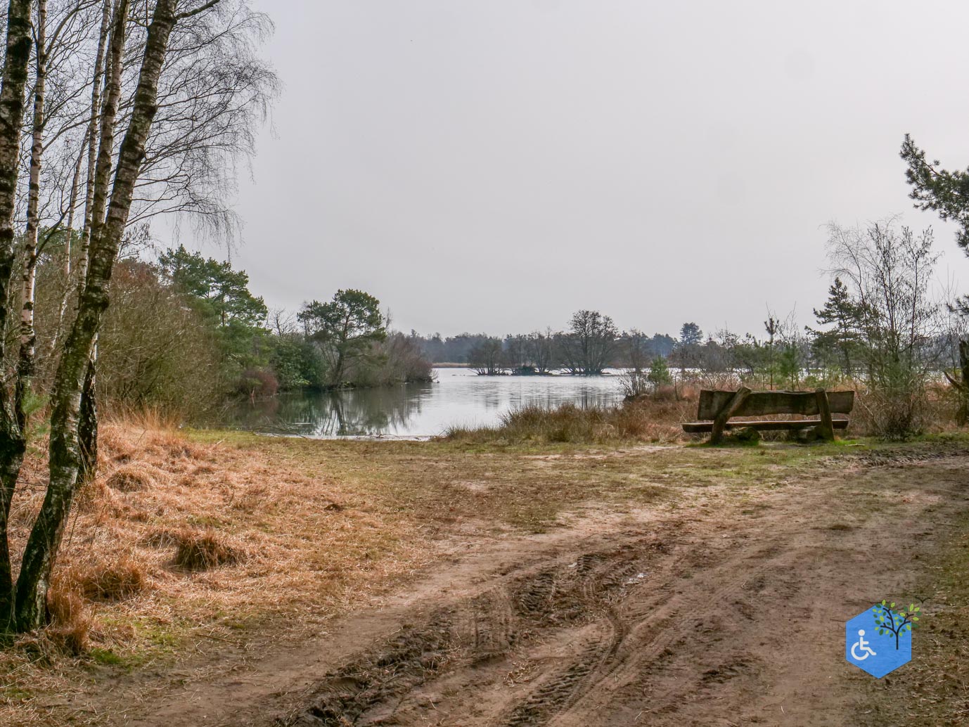 Esbeek_Rolstoelpad_De_Utrecht_06-03-2026-37