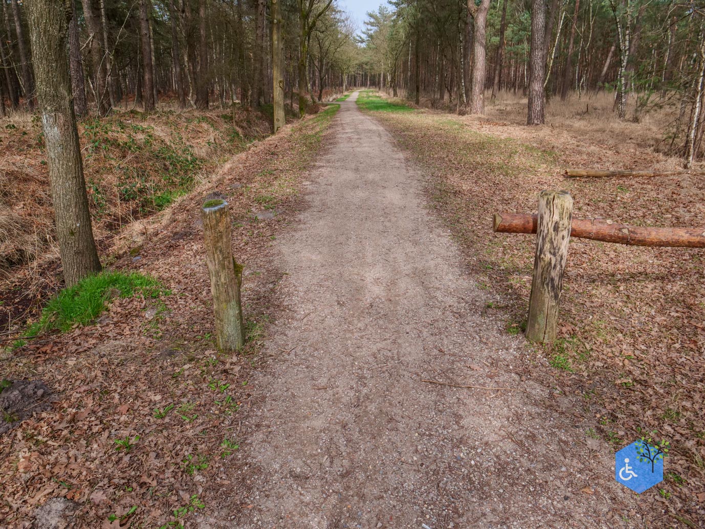 Esbeek_Rolstoelpad_De_Utrecht_06-03-2026-39