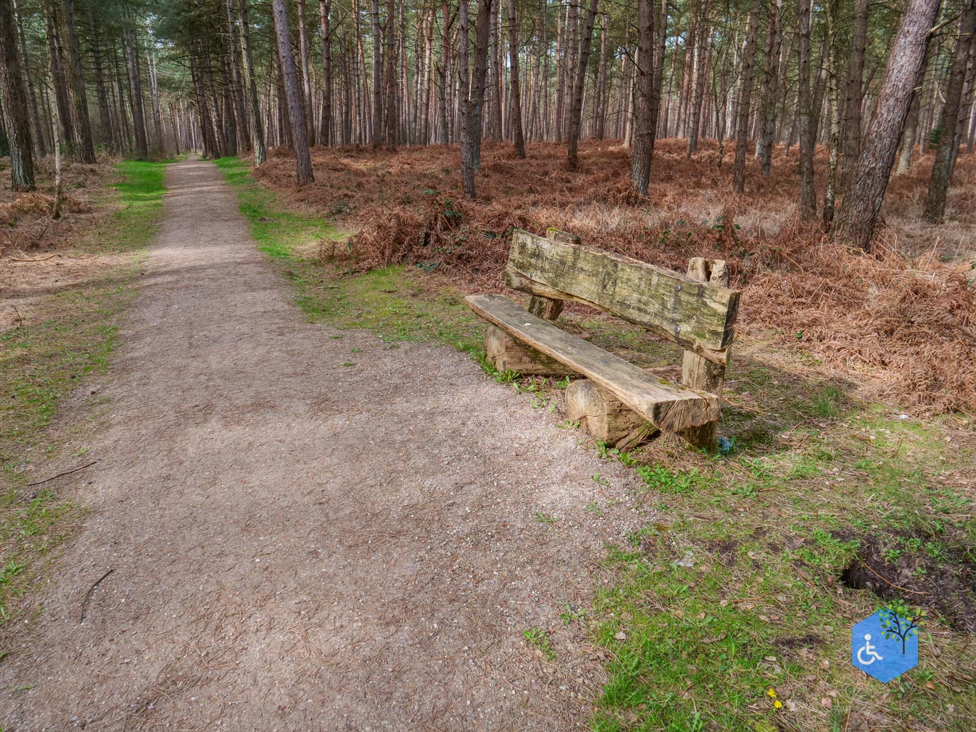 Esbeek_Rolstoelpad_De_Utrecht_06-03-2026-41