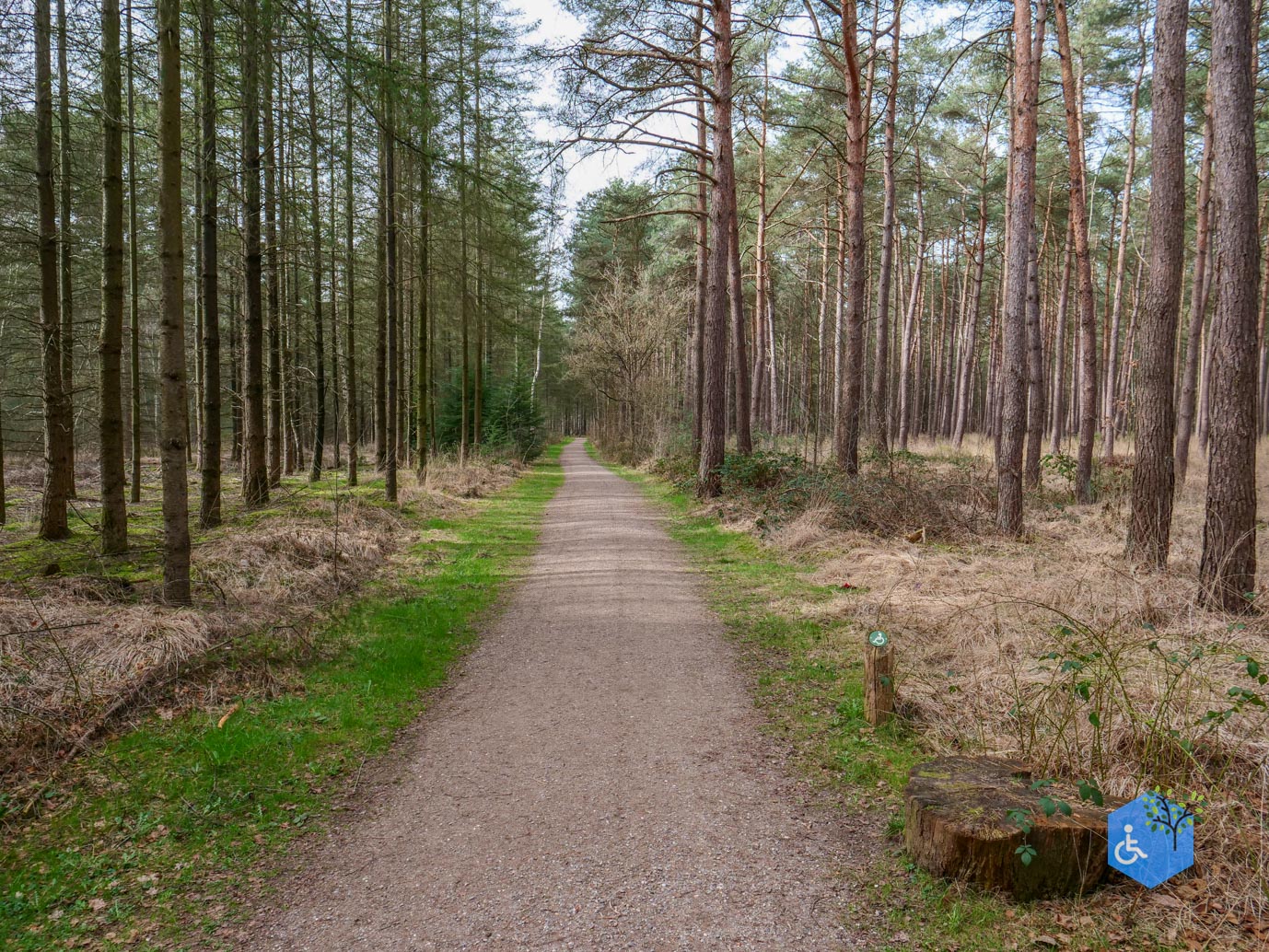 Esbeek_Rolstoelpad_De_Utrecht_06-03-2026-42