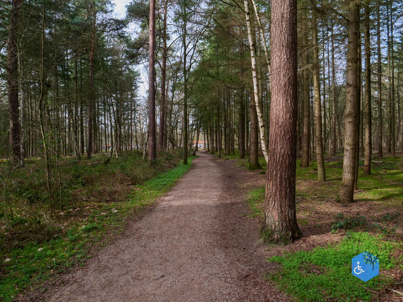 Esbeek_Rolstoelpad_De_Utrecht_06-03-2026-46