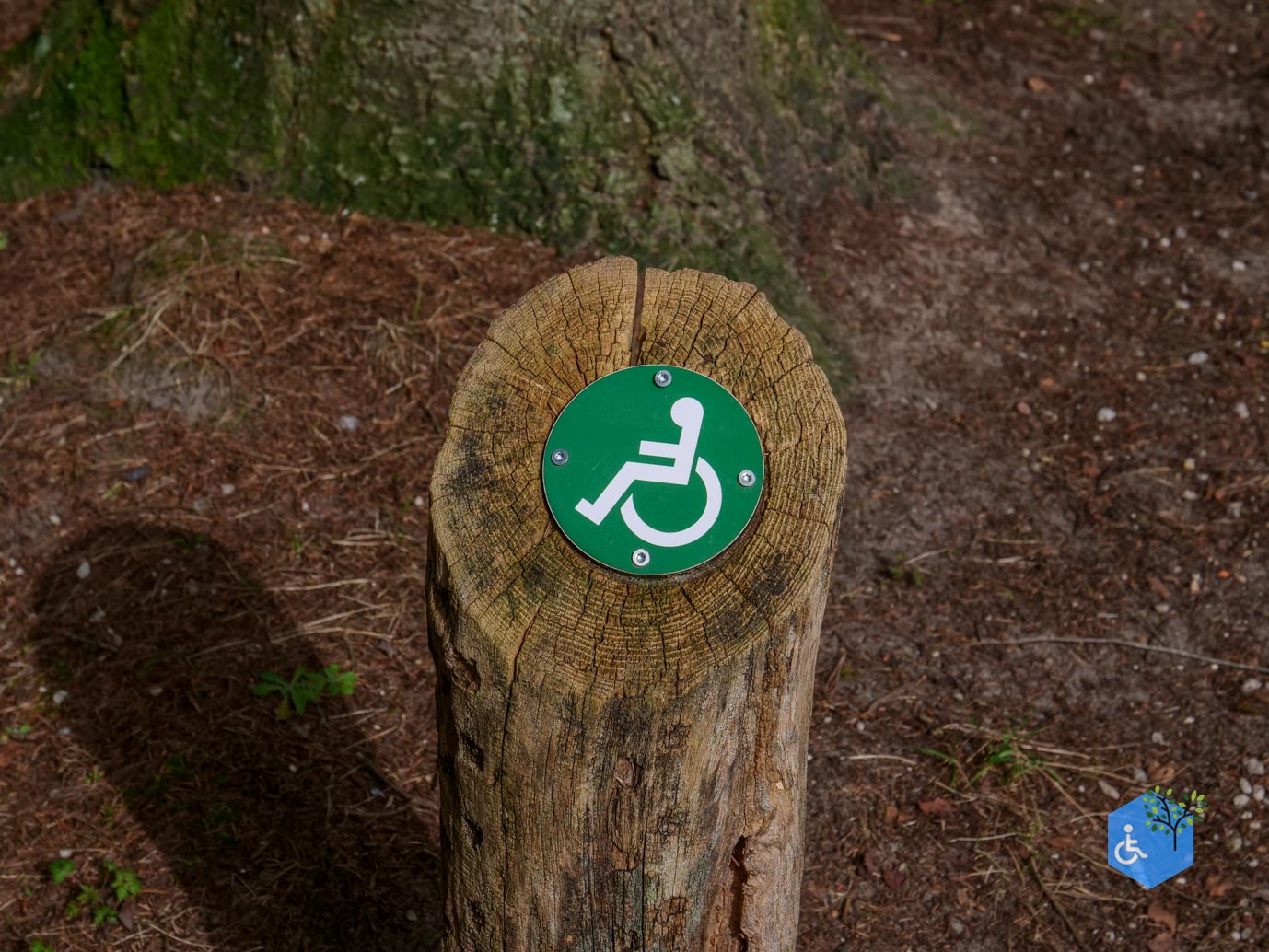 Esbeek_Rolstoelpad_De_Utrecht_06-03-2026-6