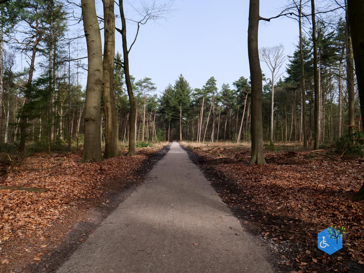 Diessen_Annaninas_Rust_06-03-2026-15