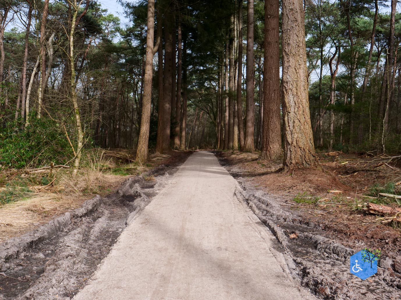 Diessen_Annaninas_Rust_06-03-2026-16