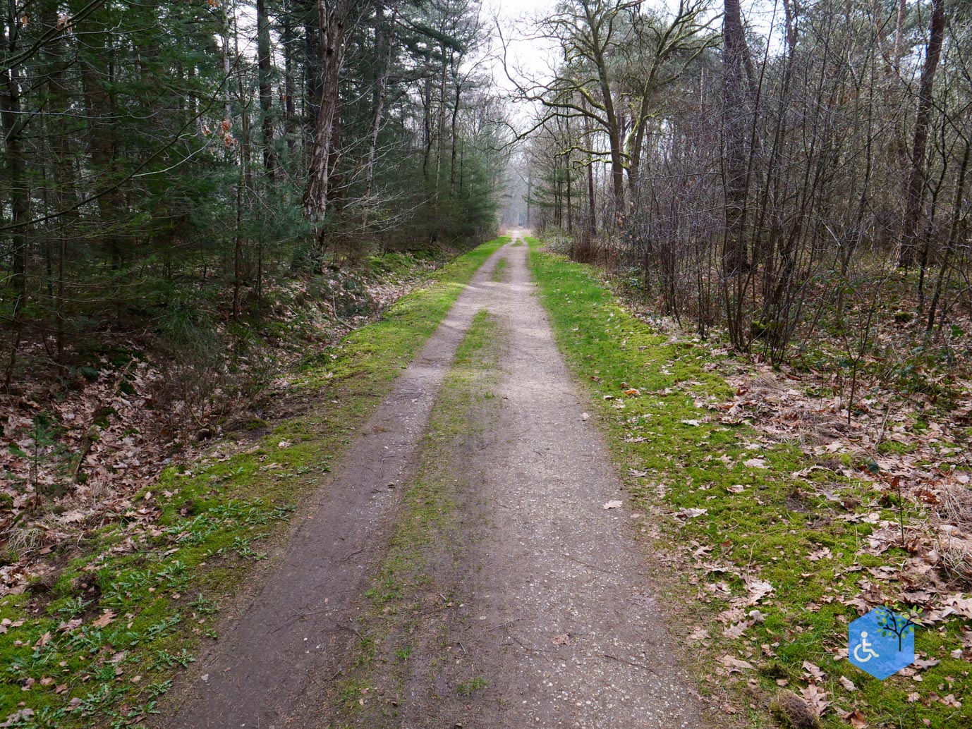 Diessen_Annaninas_Rust_06-03-2026-23