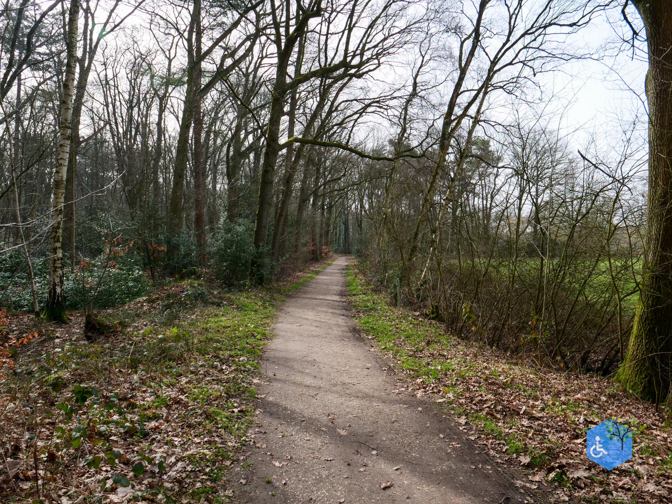 Diessen_Annaninas_Rust_06-03-2026-24