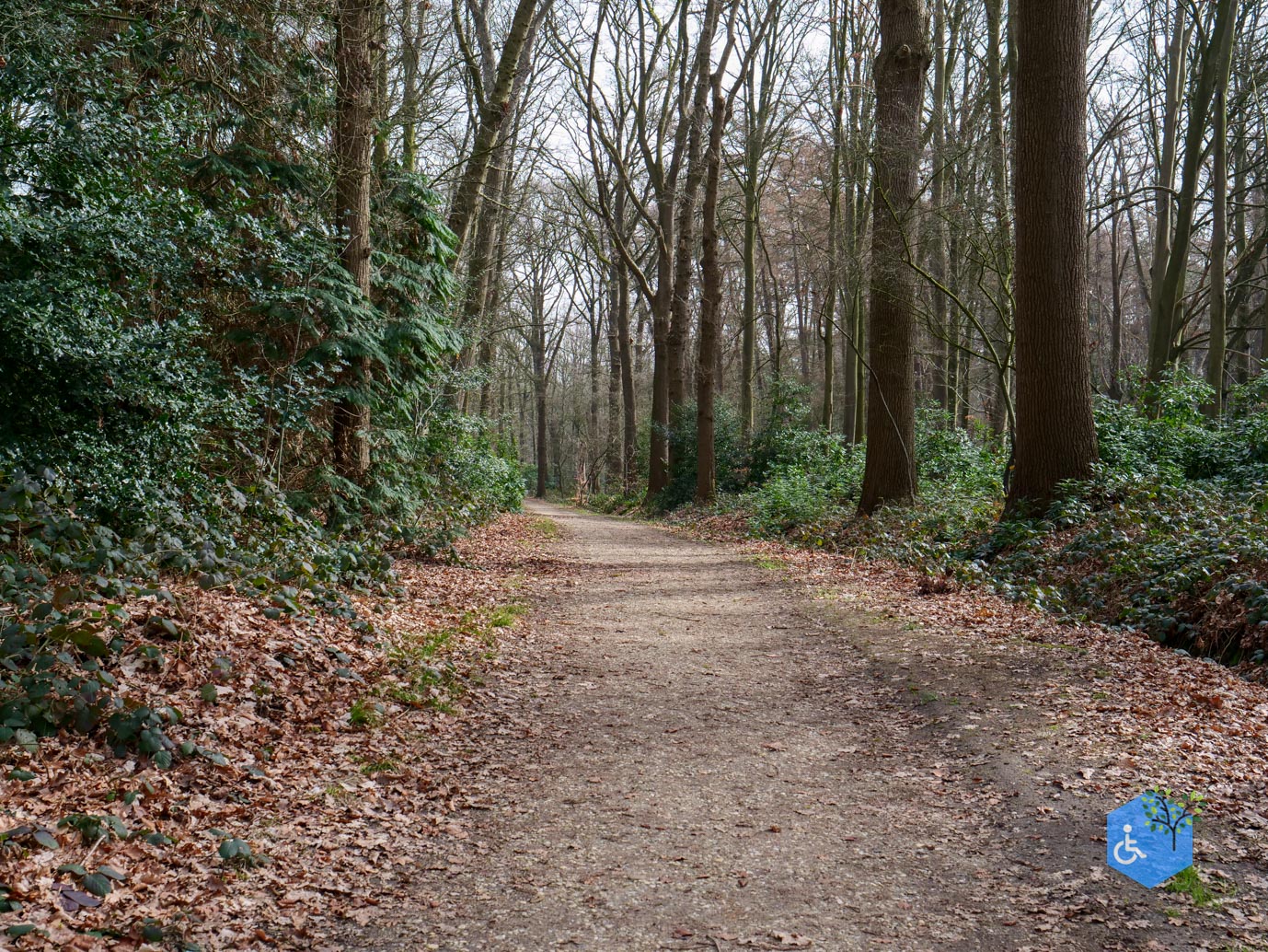 Diessen_Annaninas_Rust_06-03-2026-25