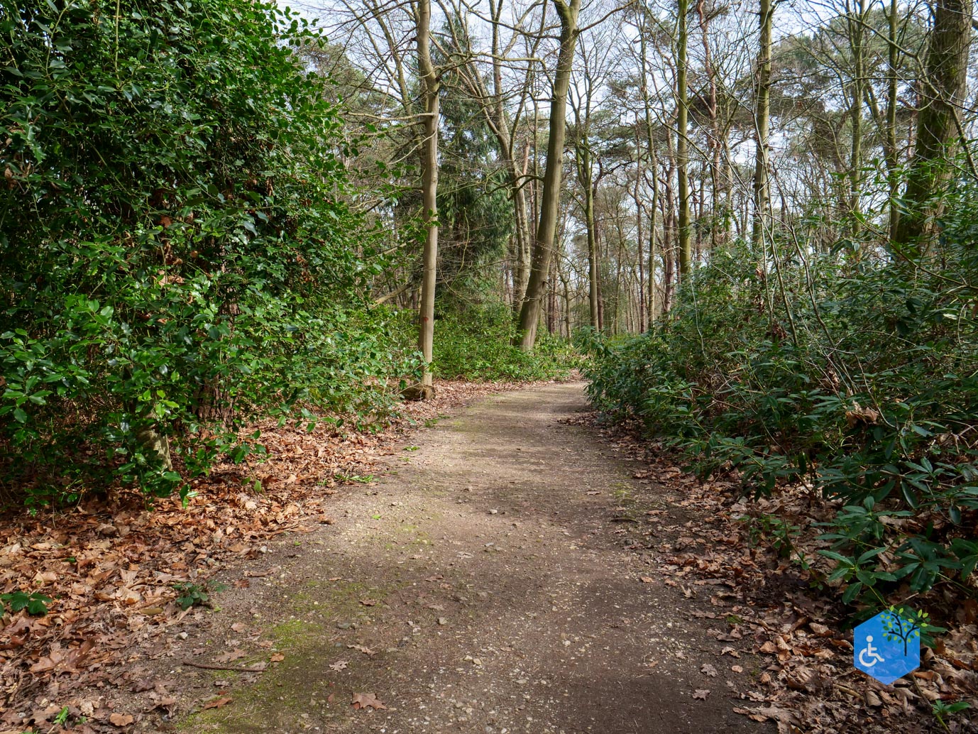 Diessen_Annaninas_Rust_06-03-2026-29