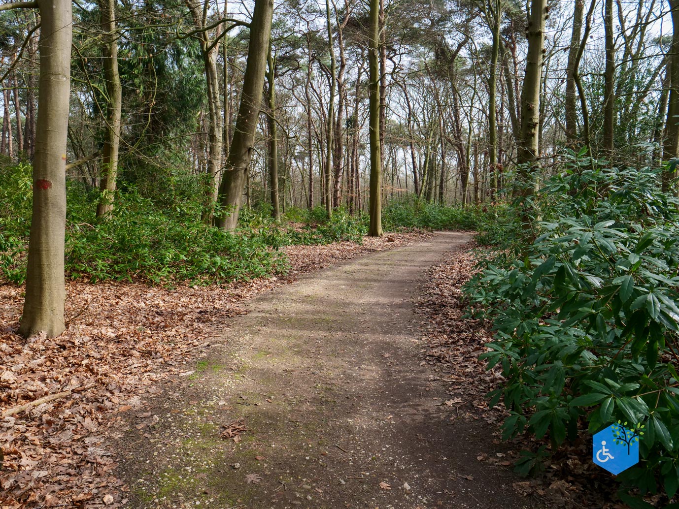 Diessen_Annaninas_Rust_06-03-2026-30