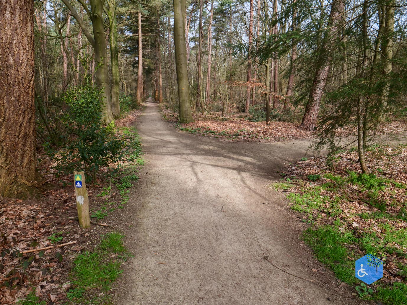 Diessen_Annaninas_Rust_06-03-2026-32