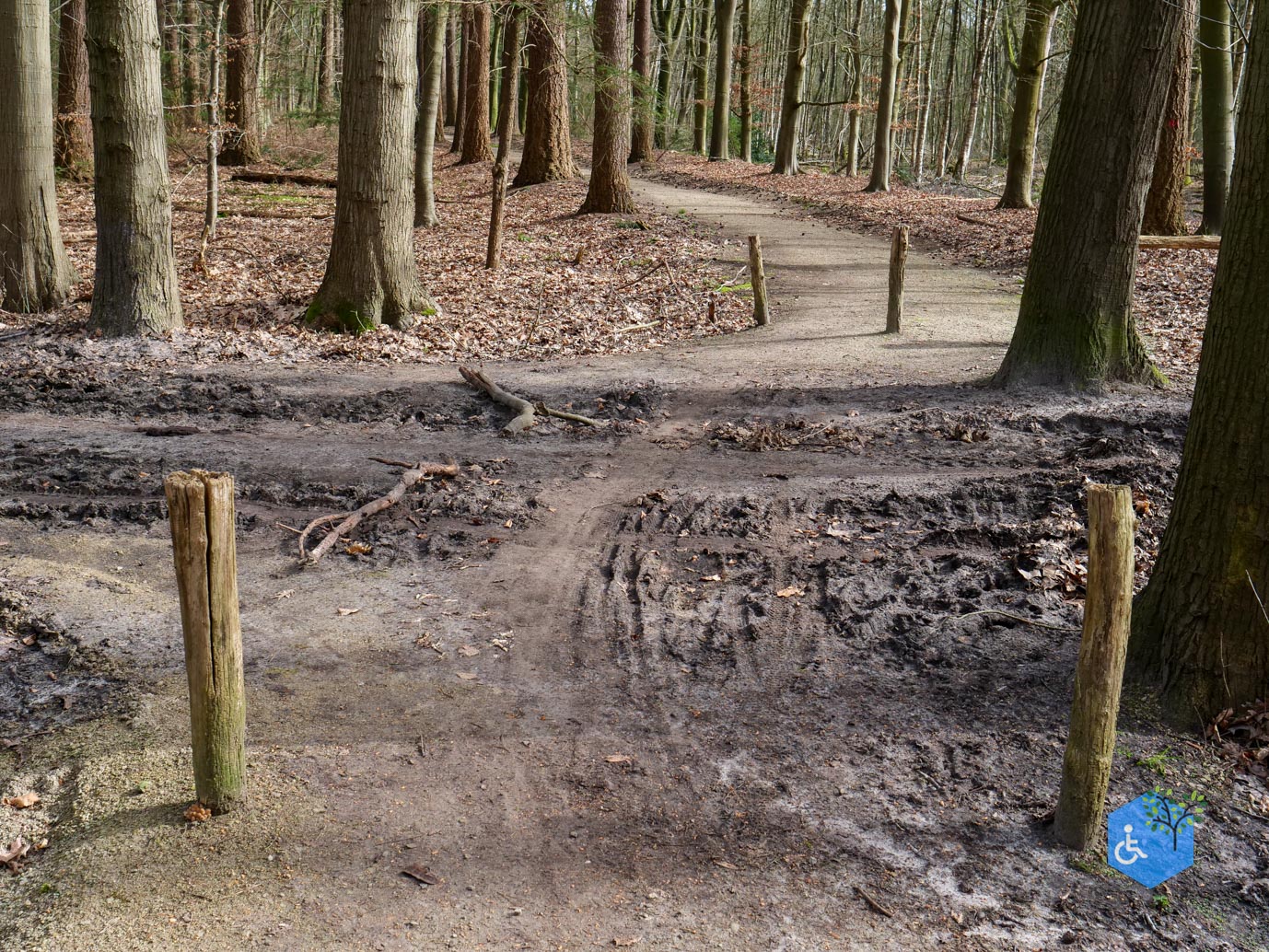 Diessen_Annaninas_Rust_06-03-2026-34