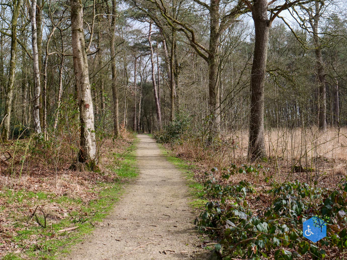 Diessen_Annaninas_Rust_06-03-2026-36